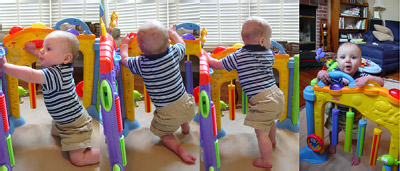 DSC03950-51-52-54_collage