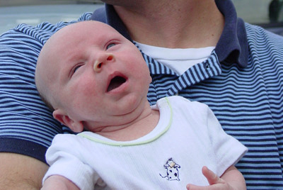 DSC08582_crop