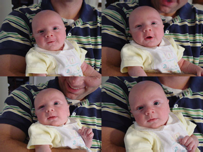 DSC08649-51-52-53-collage