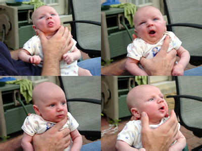 DSC08779-80-81-83-collage