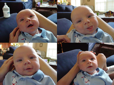 DSC08976-79-81-82-collage