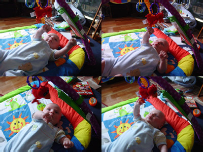 DSC09118-20-23-24-collage
