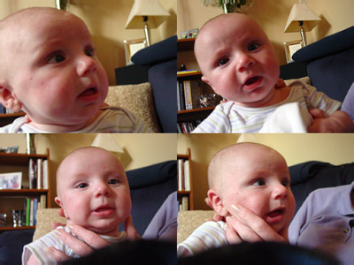 DSC09909-12-14-15-collage