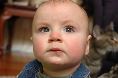 DSC_0020_edited-1