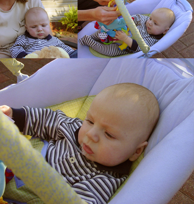 DSC00008-12-13-collage