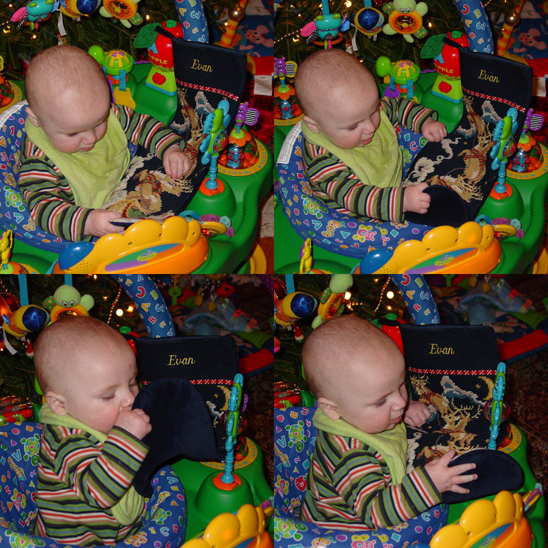 DSC01221_22_23_24-collage