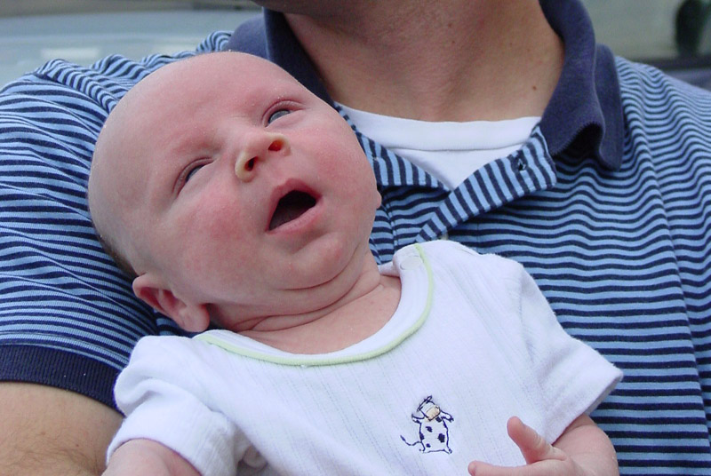 DSC08582_crop